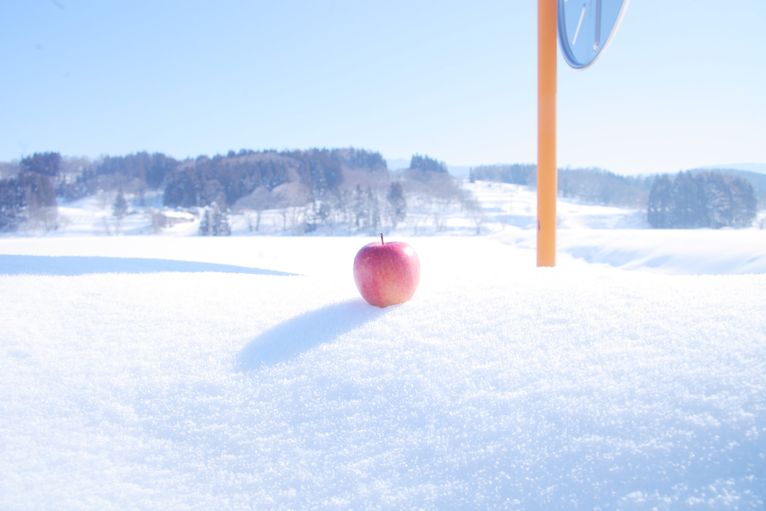 陽だまりもようがブランディングを担当する、りんごチップス「日差しのかけら」キービジュアル